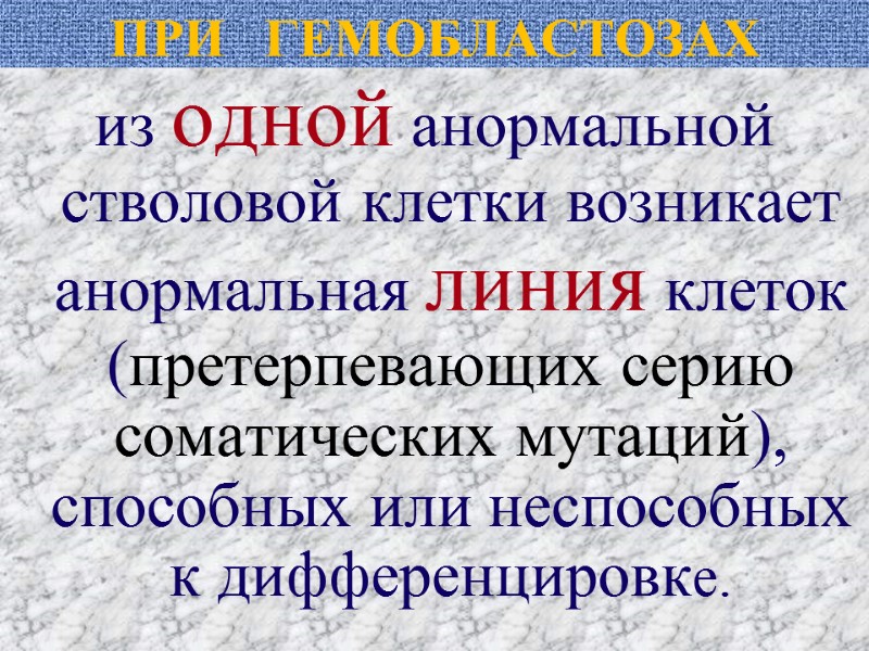 ПРИ   ГЕМОБЛАСТОЗАХ из одной анормальной стволовой клетки возникает анормальная линия клеток 